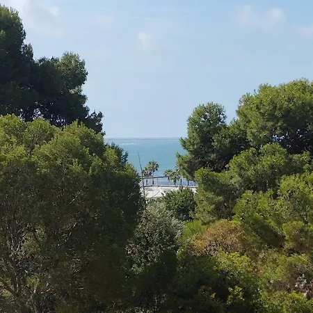 Barranc 1